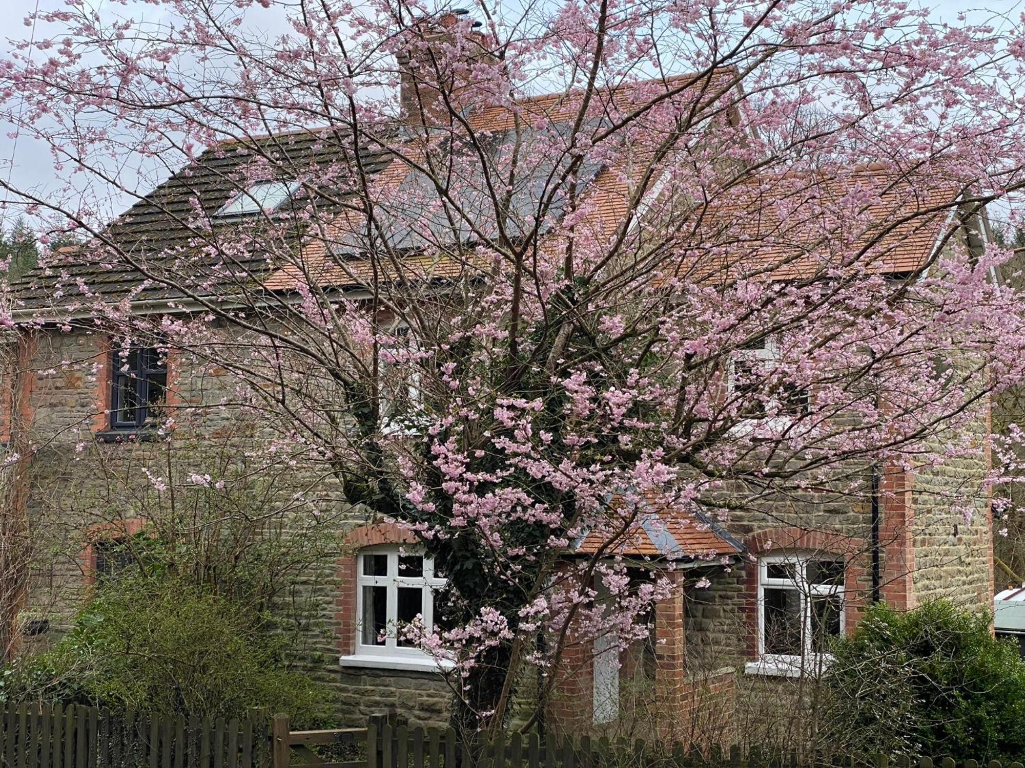 Willow Cottage Longney Exterior photo